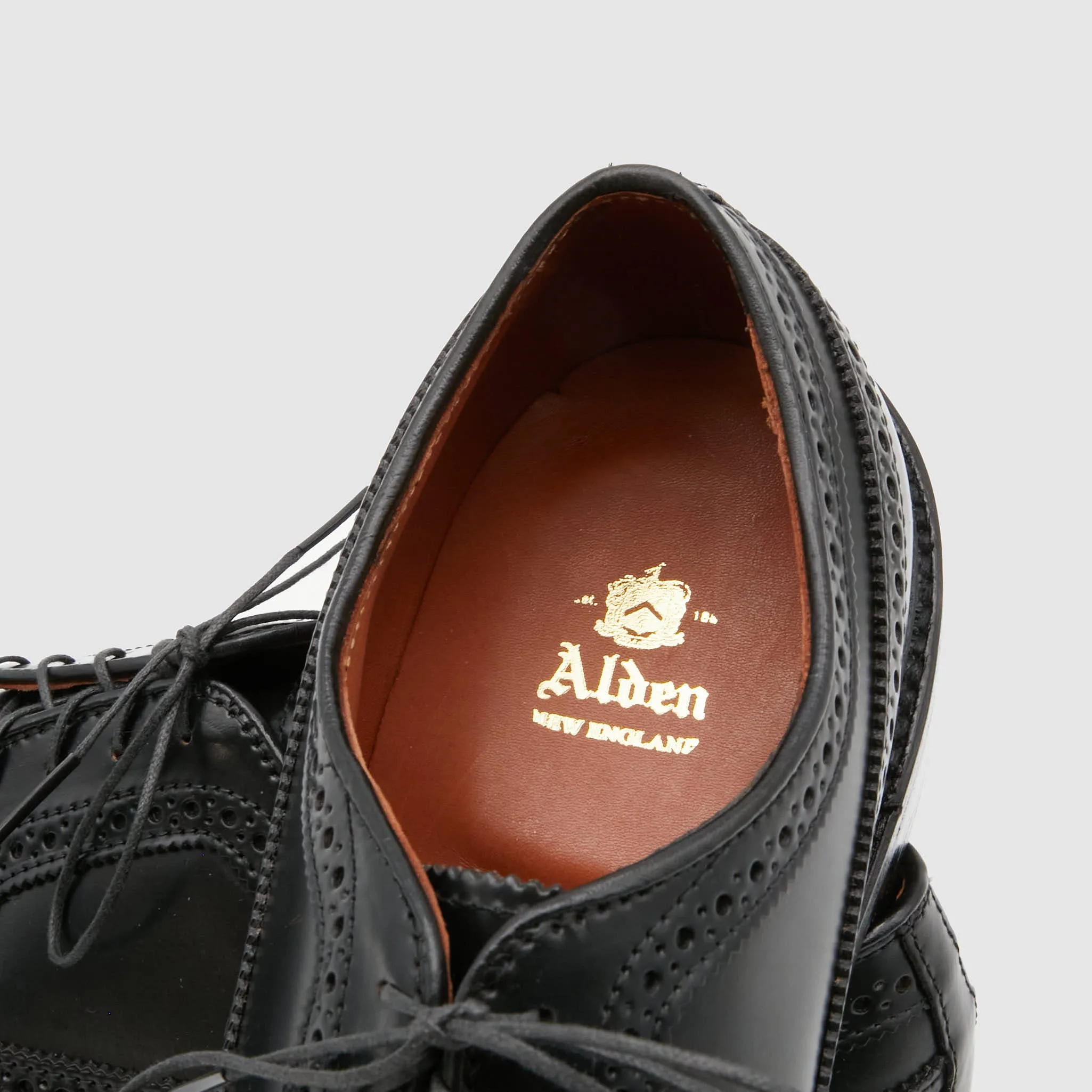 Alden Brogues Long Wingtip Cordovan 9751