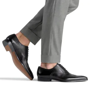 Black Leather Corvin Brogue Wingtip Oxfords - Formal Shoes - AW24