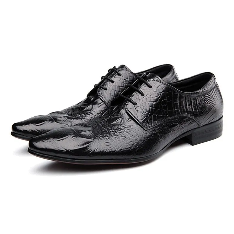 Eldorian Business Brogues Collection